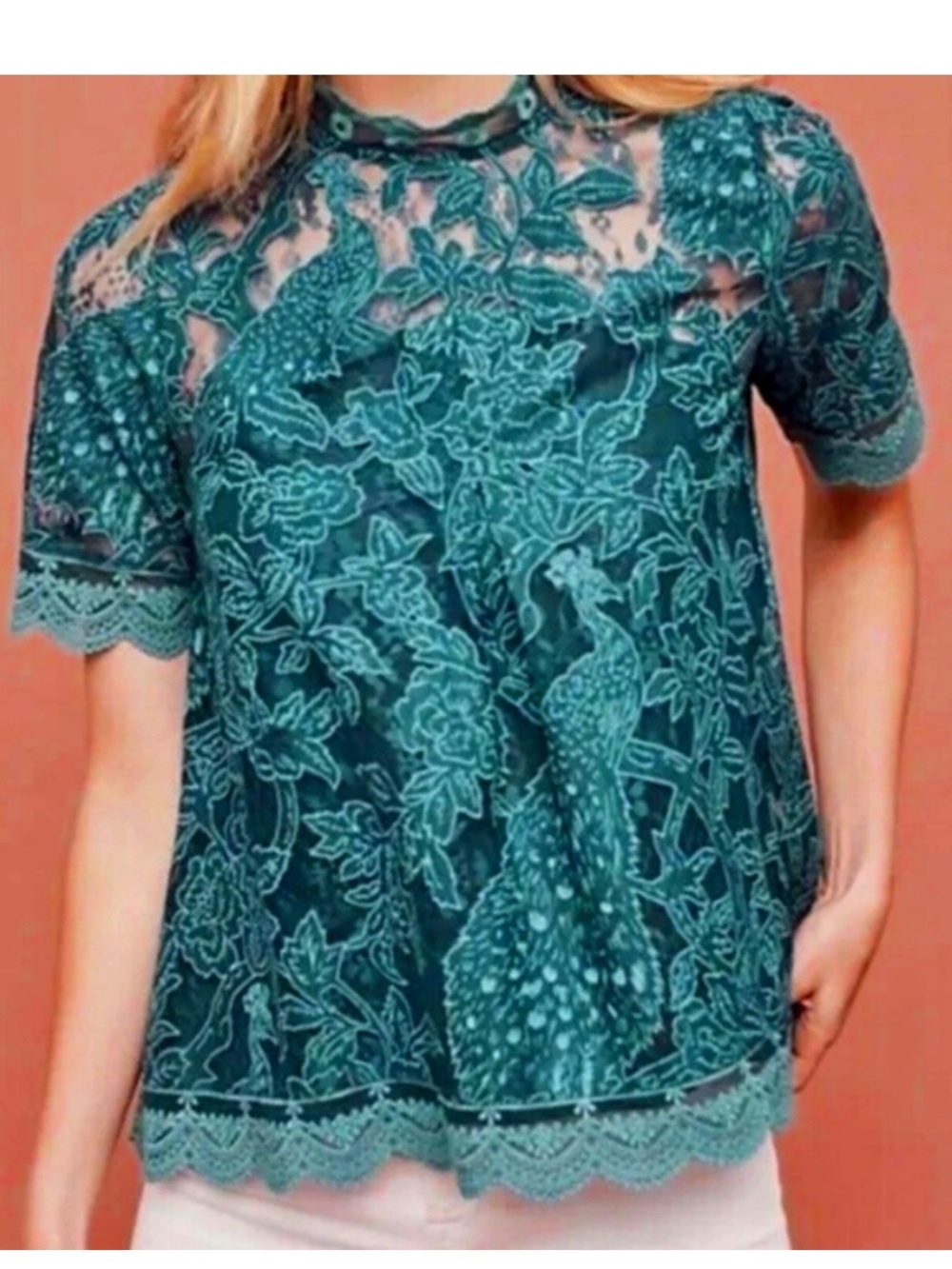 HD in Paris for ANTHROPOLOGIE lace PEACOCK embroidered SHORT SLEEVE top size 4